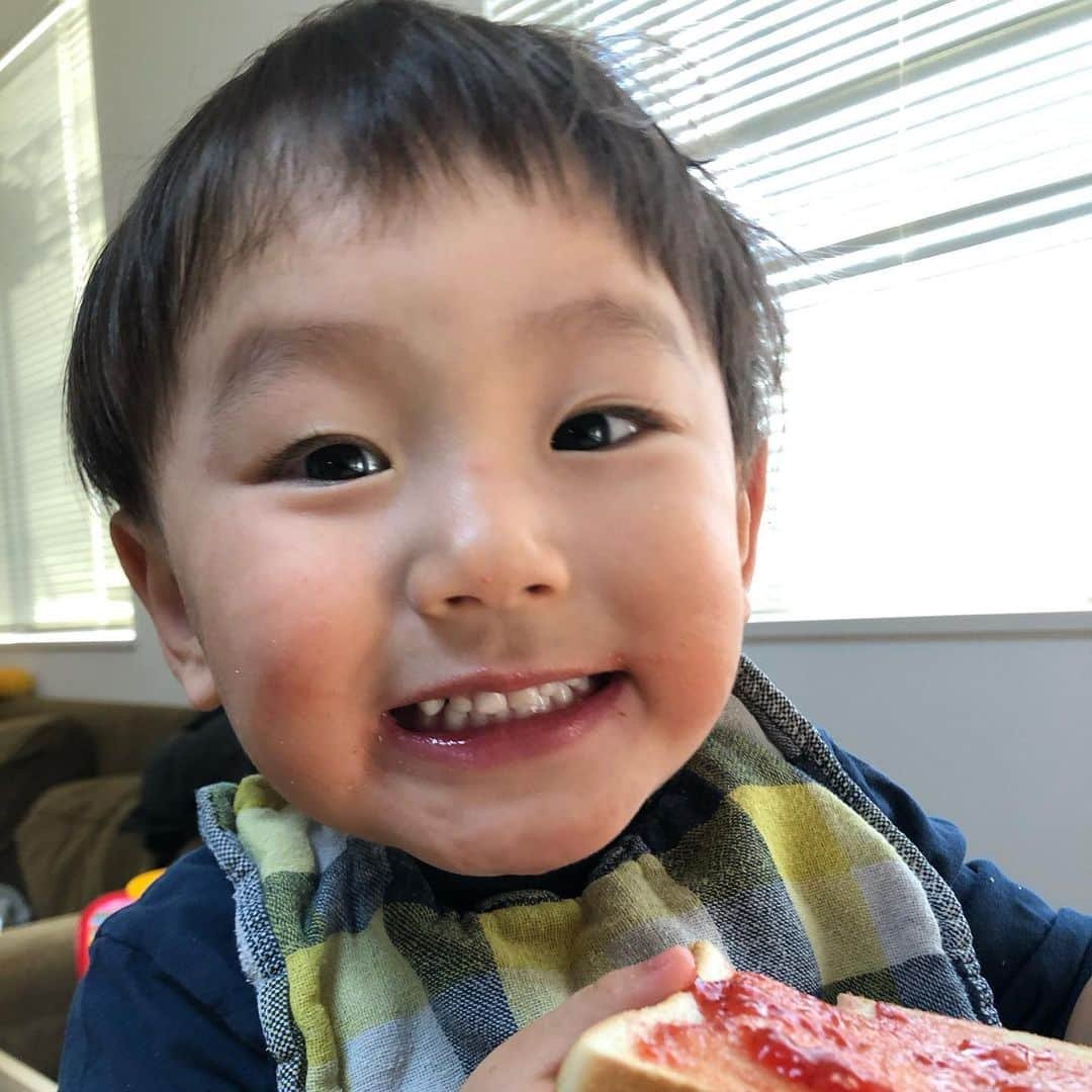 山本幹宗のインスタグラム：「🍓🍞」