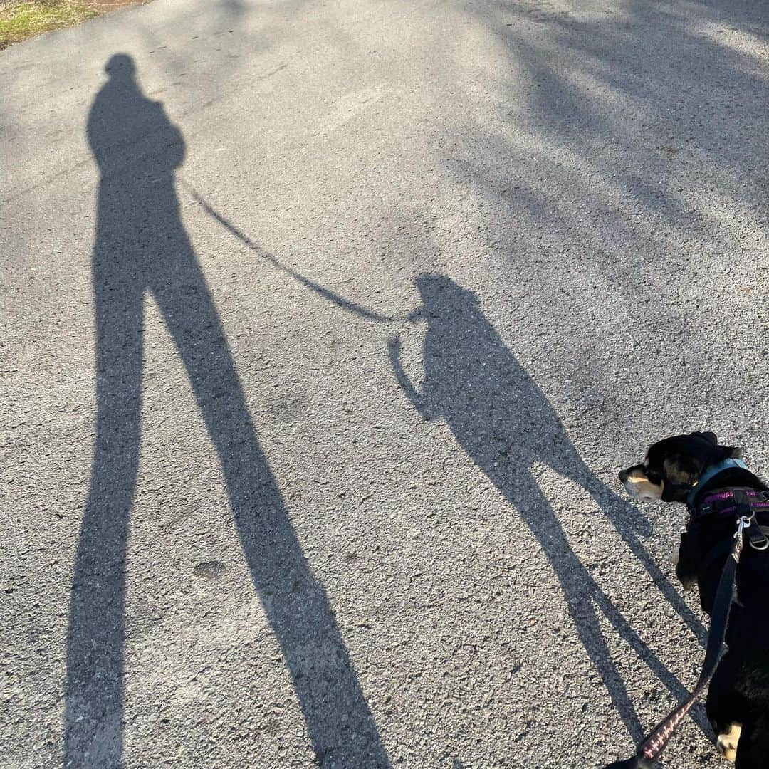 アリシア・ウィットさんのインスタグラム写真 - (アリシア・ウィットInstagram)「punxsutawney ernest and i agree. looks like we’ve got another 6 weeks of winter! bundle up! @theimportanceofbeingernesth #groundhogday #punxsutawneyphil」2月3日 7時48分 - aliciawitty