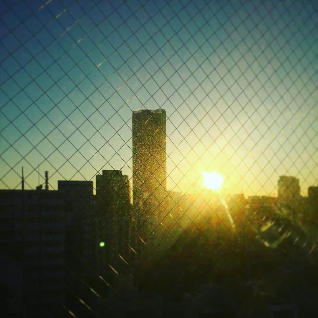 木村ひさしさんのインスタグラム写真 - (木村ひさしInstagram)「ホテルの朝 #最高のおっさんの空」2月3日 8時05分 - kimura.hisashi