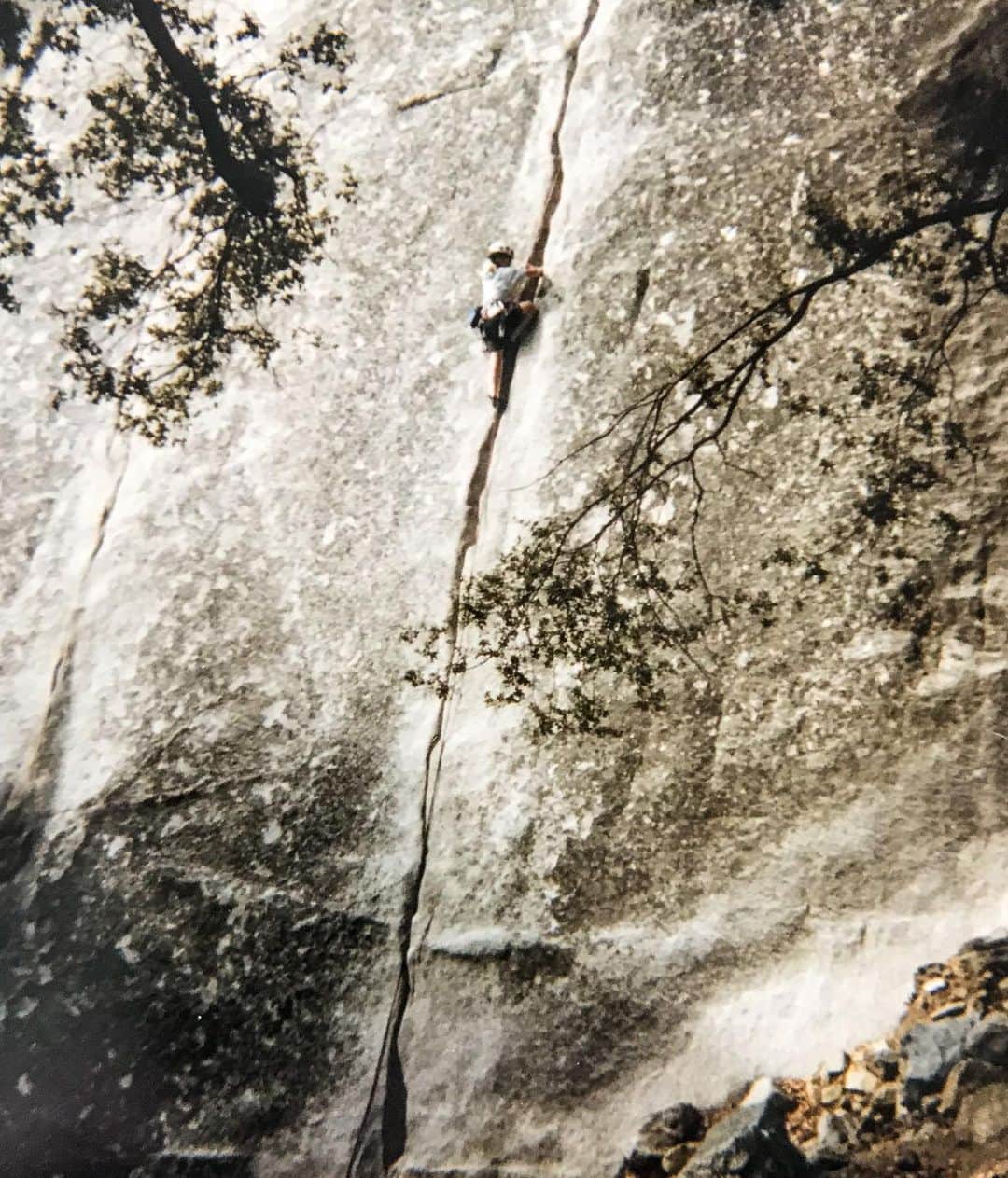 エミリー・ハリントンのインスタグラム：「Random texts from dad: “Hey hon, this was your first climb in Yosemite.” 😆 thanks @timnharrington 🥰❤️ // “Jamcrack” 5.7, Yosemite Valley, 1999 // @thenorthface // @lasportivana // @petzl_official」