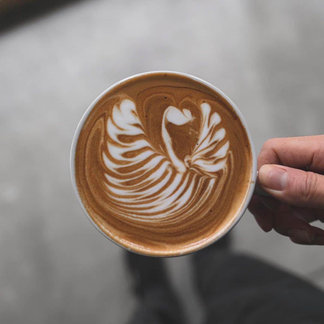 山口淳一のインスタグラム：「Good morning. — #japan #kyoto #here #coffee #herekyoto #canele #latte #latteart #art #cafe #slayer #espresso #roasting #glass #日本 #京都 #コーヒー #カヌレ #ココカヌレ #ラテ #ラテアート #アート #スレイヤー #エスプレッソ #焙煎 #バリスタ #グラス #おうちでココカヌレ #お取り寄せ #お取り寄せスイーツ」