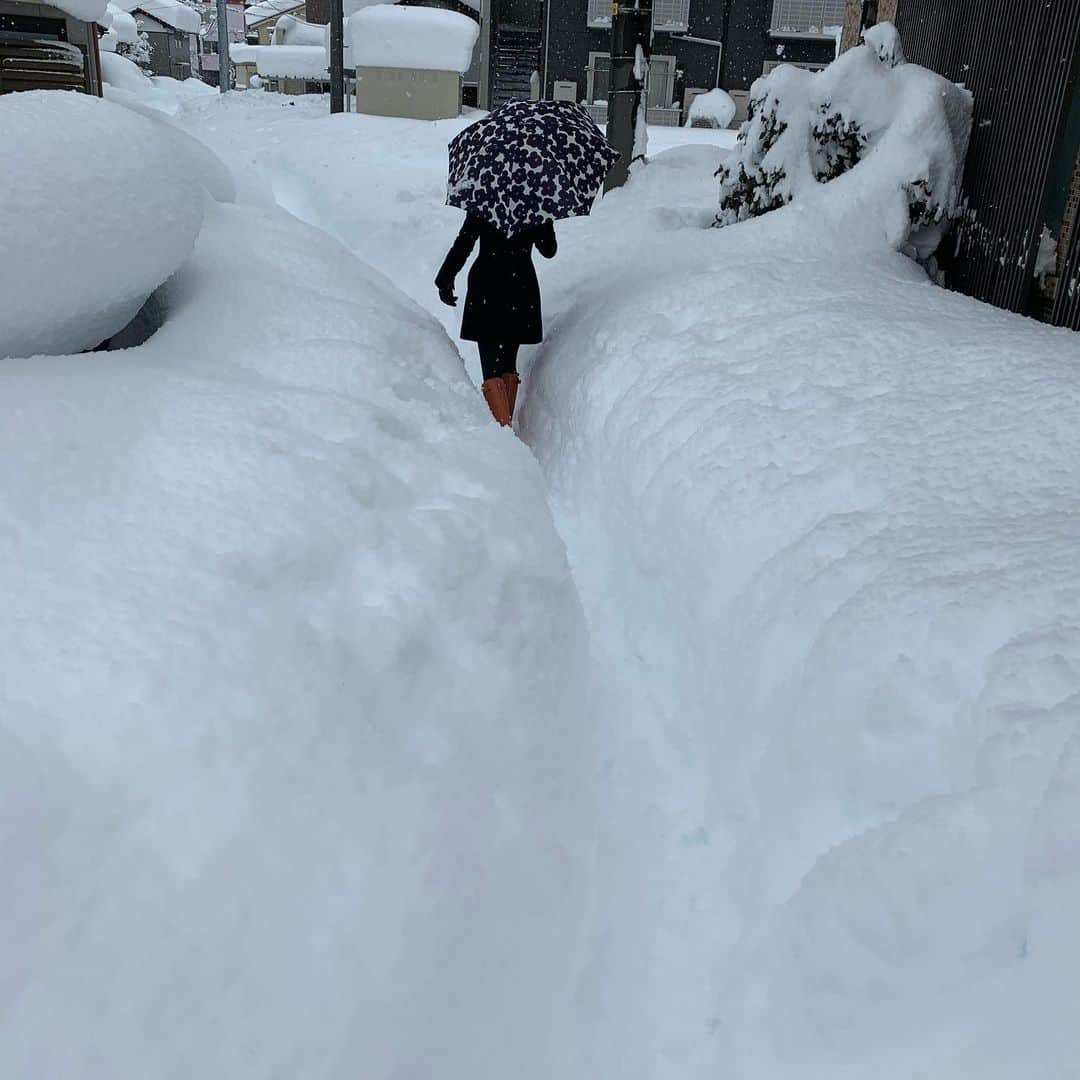 池端忍のインスタグラム：「大雪や色々とあり大変な年明けを過ごしていましたが、ようやく落ち着いてきました。  写真は雪が最も降り積もり車に乗る事が出来なかった時期。一枚目の後ろ姿は娘です。 歩道も人ひとり通れる程の道しかなく凍結もしていた為一歩一歩慎重に歩いていました。 動画はお恥ずかしい歩き方ですが備忘録として残しておきます笑  交通、物流、交流…制限なく当たり前に出来る事の有り難さを痛感しました。  今日は立春。 寒さはまだまだ続きますが暦の上では春の始まり。 コロナ禍ではありますが気持ち新たに過ごしていきましょう☺︎」