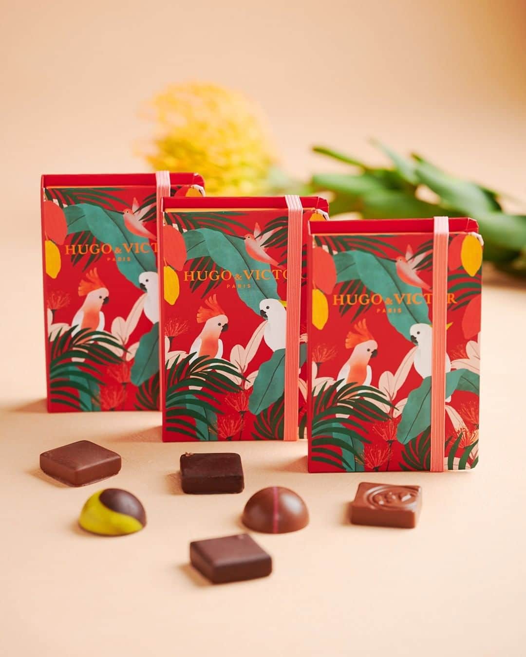 HUGO & VICTORのグルメインスタ