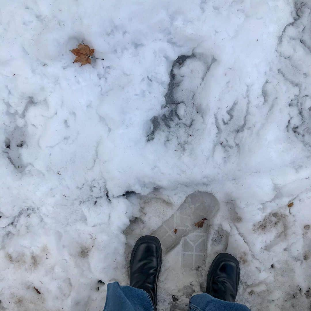 北原 一樹さんのインスタグラム写真 - (北原 一樹Instagram)「. ❄️🟤👣  #prada#cristaseya#acnestudios」2月3日 9時14分 - kchanmink_