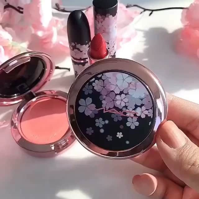 M∙A∙C Cosmetics Japanのインスタグラム：「【本日公式オンライン先行発売！】 夜桜からインスパイアされたムード溢れるコレクション「#MACブラックチェリー 」がオンライン先行で発売✨ ㅤ 本日20時から、#MACインスタライブ にて、春を満喫する、ふんわり桜メイク&クールな夜桜メイクをご紹介します🌸ライブ中には皆さんからの質問にリアルタイムでお答えします💭 ㅤ #MACBLACKCHERRY ☑︎リップスティック(限定3色) 税込3,630円 ☑︎グロー プレイ リップ バーム(限定4色) 税込3,630円 ☑︎エクストラ ディメンション ブラッシュ(限定4色) 税込4,180円 ☑︎M∙A∙C プレップ プライム リップ 税込2,970円 ☑︎フィックス＋ CBM 税込3,410円 ☑︎ブラシストローク ライナー ブラシブラック 税込3,520円 ☑︎アイ ラッシュ # 36 ドリームガール ラッシュ 税込1,980円 ㅤ *3月5日(金) 全国発売 ㅤ Regram from @maccosmeticstaiwan  #桜コスメ #MAC」