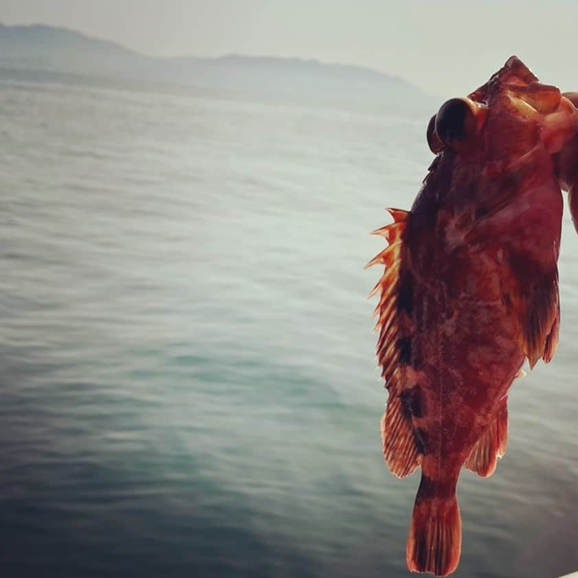 モモコさんのインスタグラム写真 - (モモコInstagram)「最近釣り女🎣 釣れたら嬉しい😊 釣れなくても楽しい😆 釣った魚は、パパが綺麗に料理してくれます🐟 アメブロにも写真沢山載せました✨  今日配信のYouTubeは、あさパラ！のモモタンの家ロケの様子が見れますよ💕 オススメ便利グッズを紹介してます。 配信は19時〜です。 見てね〜💕  #ハイヒールモモコ #👠 #👠🍑 #CHANEL #シャネラー #グルメ #アメブロ  #YouTube #モモコ新聞 #あさパラ #モモタン #便利グッズ #オススメグッズ #釣り #釣り女 #釣り好き #時差投稿」3月4日 8時44分 - highheel_momoko