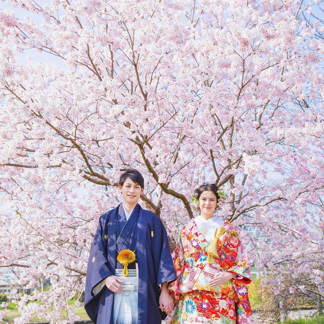 CLAIREのインスタグラム：「宇都宮今泉店では、3月22日(月)より桜ロケーション撮影が可能に！ 仮店舗にて、お支度をして撮影できるようになりました✨ 今年の桜ロケーション撮影をご希望の方は是非ご相談ください🌸 ・ MUSASHI imaizumi BASE 栃木県宇都宮市今泉町3020-1 ・ @clairebridalstudio」