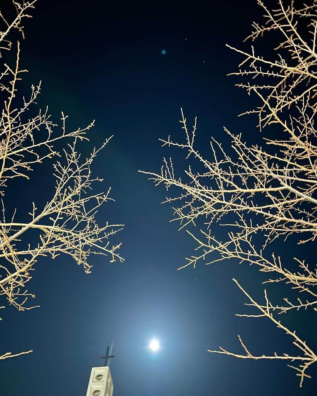 菅野結以さんのインスタグラム写真 - (菅野結以Instagram)「20210227  snow moon . ﻿ これからを生きるための幸福な記憶喪失﻿ 初桜は満月の下 🌕 ことしも春がくるね」2月28日 15時55分 - yui_kanno