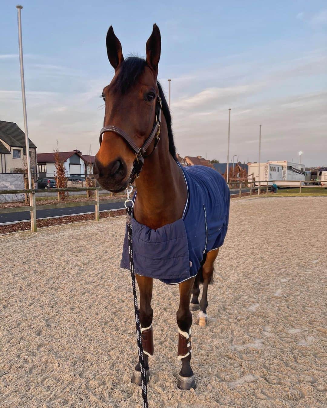 ジュディ舞衣のインスタグラム：「Pommie Pom Pom ready for Grand Prix Sunday🐴🇧🇪🏆」