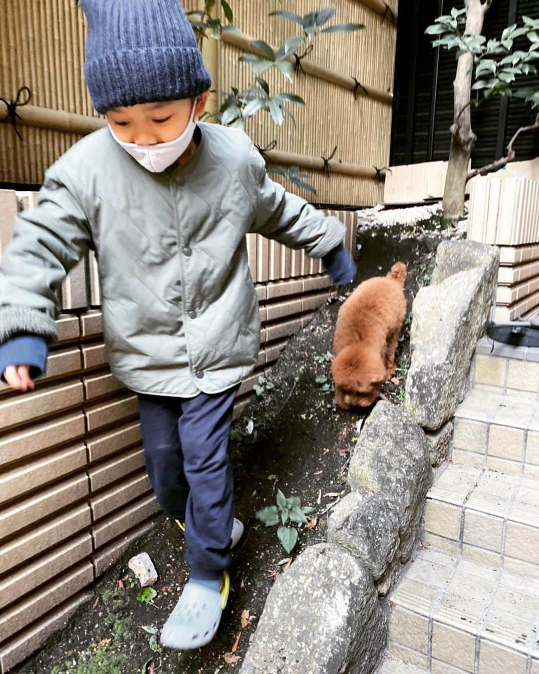 のインスタグラム：「三つ子の大冒険  #ピッピはいいところの子だったのに　#双子のせいで泥まみれ　#たしか預かる前日ドッグマン行ったって言ってたな🤔　#ふふ」