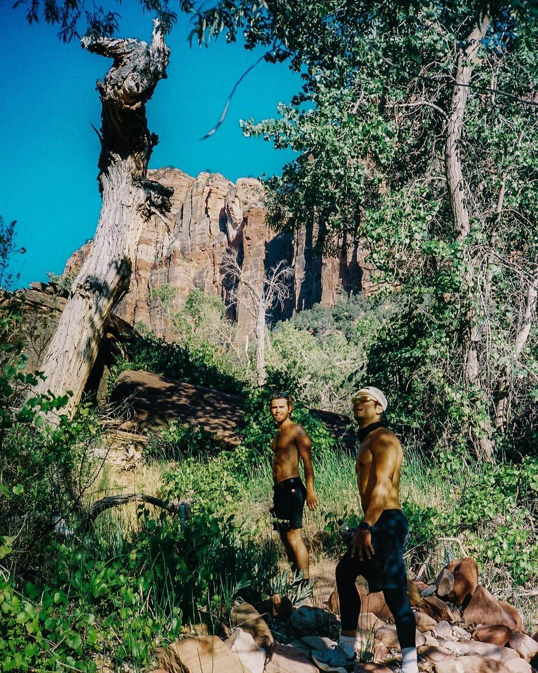 コール・スプラウスさんのインスタグラム写真 - (コール・スプラウスInstagram)「Zion big flip」2月28日 7時32分 - colesprouse