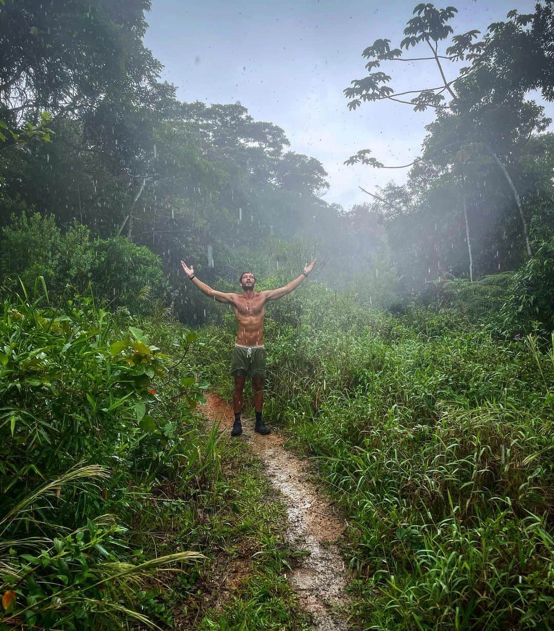 フランシスコ･ラチョースキーのインスタグラム：「Viva a Mata Atlântica 🌴🌱☘️🌳🌿 #mataatlantica #vida」