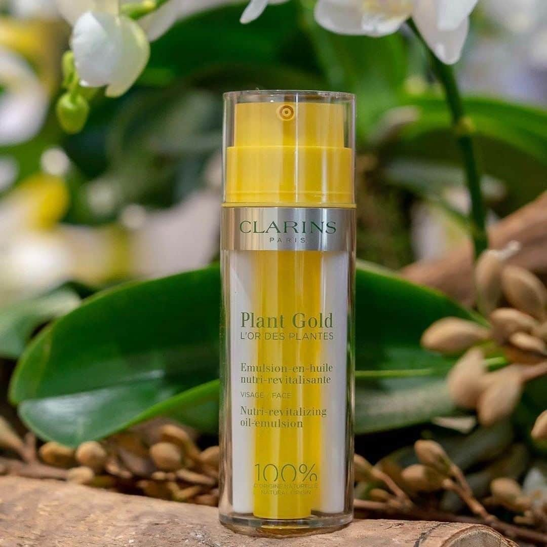 Clarins Méxicoさんのインスタグラム写真 - (Clarins MéxicoInstagram)「Comenta con un 💗 si quieres probar Plant Gold. 🌞¿Ya conoces todos los beneficios que le da tu piel? Esta emulsión al ser tan ligera, tu piel las absorbe más rápido nutriéndola e hidratándola en segundos. ⏱ ¿Estás lista para probarla? ✨ . . . . #vivoclarins #PlantGold #emulsión #hidratación #naturalskincare #skincare #natural #naturalbeauty #healthyskin #selfcare #skincareproducts #beautycare #instabeauty #naturaloils #makeup #belleza #cuidadodelapiel #cuidadodelrostro #cuidadopersonal #natural #cuidatupiel」2月28日 9時30分 - clarinsmx