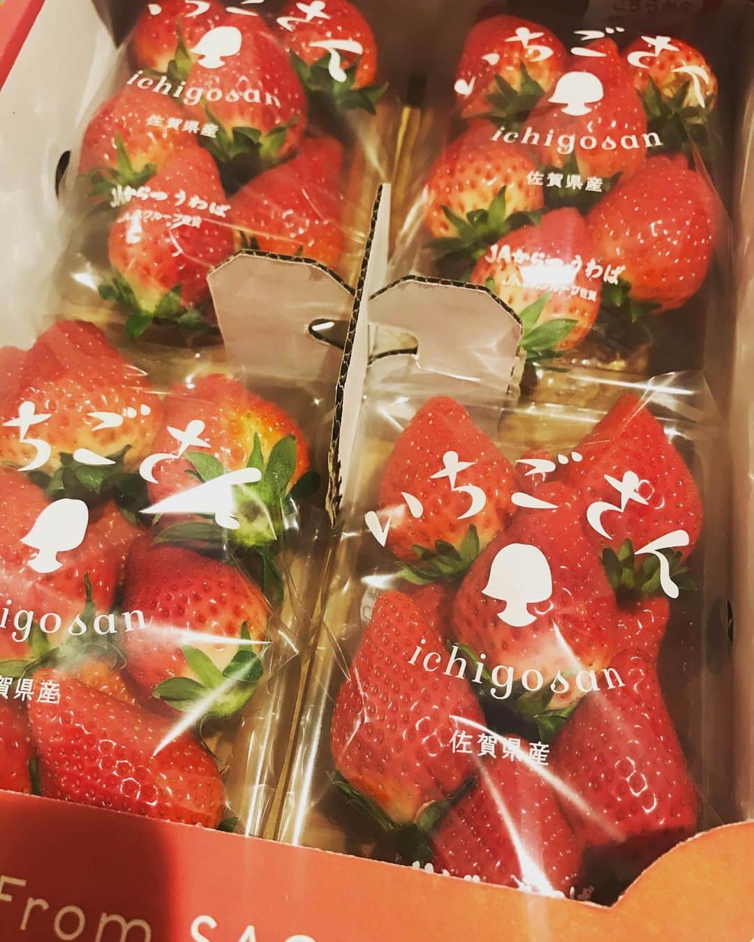 のインスタグラム：「いちご農家の親戚から頂きました。  普段果物を買ったりしないので嬉しい。 練乳つけて食べさせていただきます。  さてはて、お返しをどうしようか。 明太子かなぁ。」