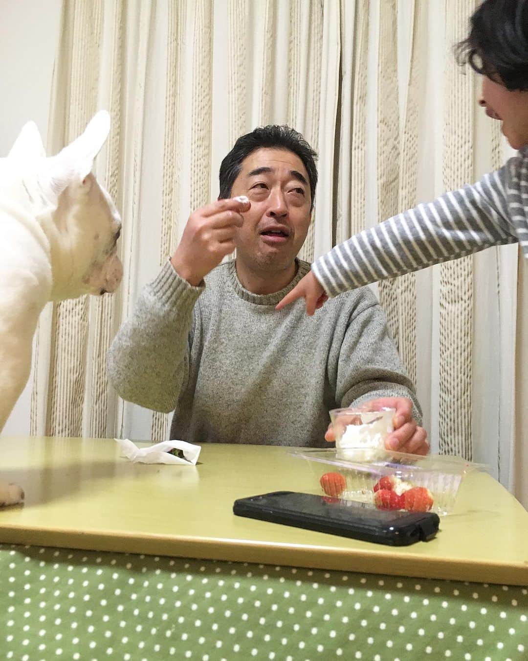 ちえぶぅたのインスタグラム：「おじさんが幼稚園児とイチゴを取り合う動画。」