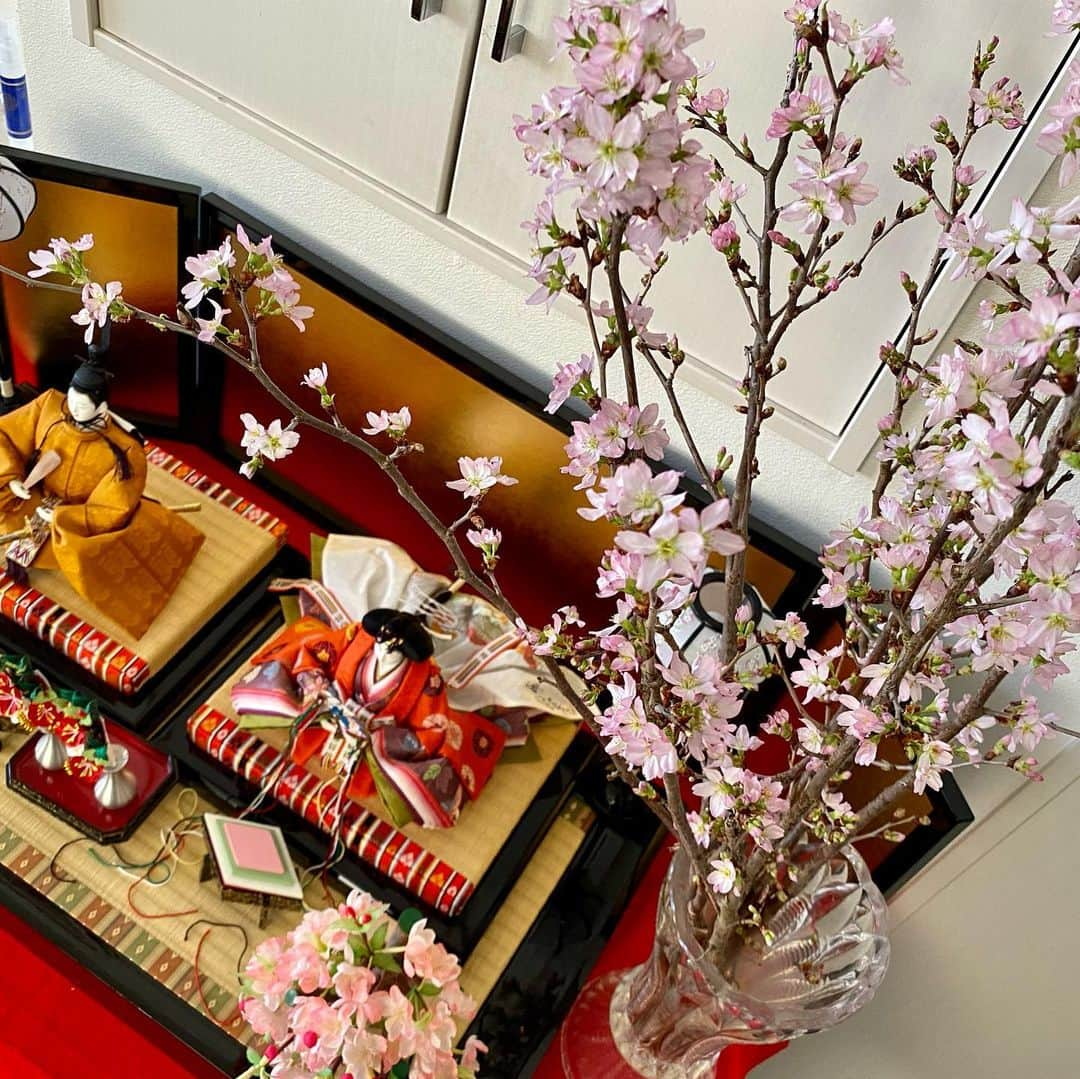 関谷亜矢子のインスタグラム：「JAやまがたから、桜が届きましたー🌸北国で一足早く春を告げる「啓翁桜」お友達あゆちゃんのラジオ、FM世田谷「ベジアナの畑の力ララララジオ」のリスナープレゼント❗️だから我が家は桜の節句。 満開の桜に願いを込めて。  #JAやまがた #啓翁桜  #fm世田谷  #ベジアナの畑の力らららラジオ  #小谷あゆみ ちゃん #スマホできけます」