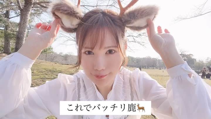 熊乃あいのインスタグラム：「鹿カチューシャの付け方🦌🌸  付属のピンで固定すると カチューシャがズレないよ♪  気になった方はプロフィールの URLから飛んでね✈  ※取扱店 小動物カフェはなはな @hanahana.nara  近鉄奈良近く  生もなか つのや @nice2knowya  JR奈良近く  鹿のおしりコーヒーでは 着用して写真撮れます @shikanooshiri_nara   ※固定コームタイプの生産は 終了しました  #鹿カチューシャ #けものん #鹿のカチューシャ屋さんけものん #kemonon #鹿 #奈良公園 #撮影アイテム #写真すきな人と繋がりたい #ネット通販 #生モナカつのや #小動物カフェはなはな #もふもふ部  #ならまち #ならまちカフェ #奈良カフェ #鹿のおしりコーヒー #奈良土産 #鹿のカチューシャ」