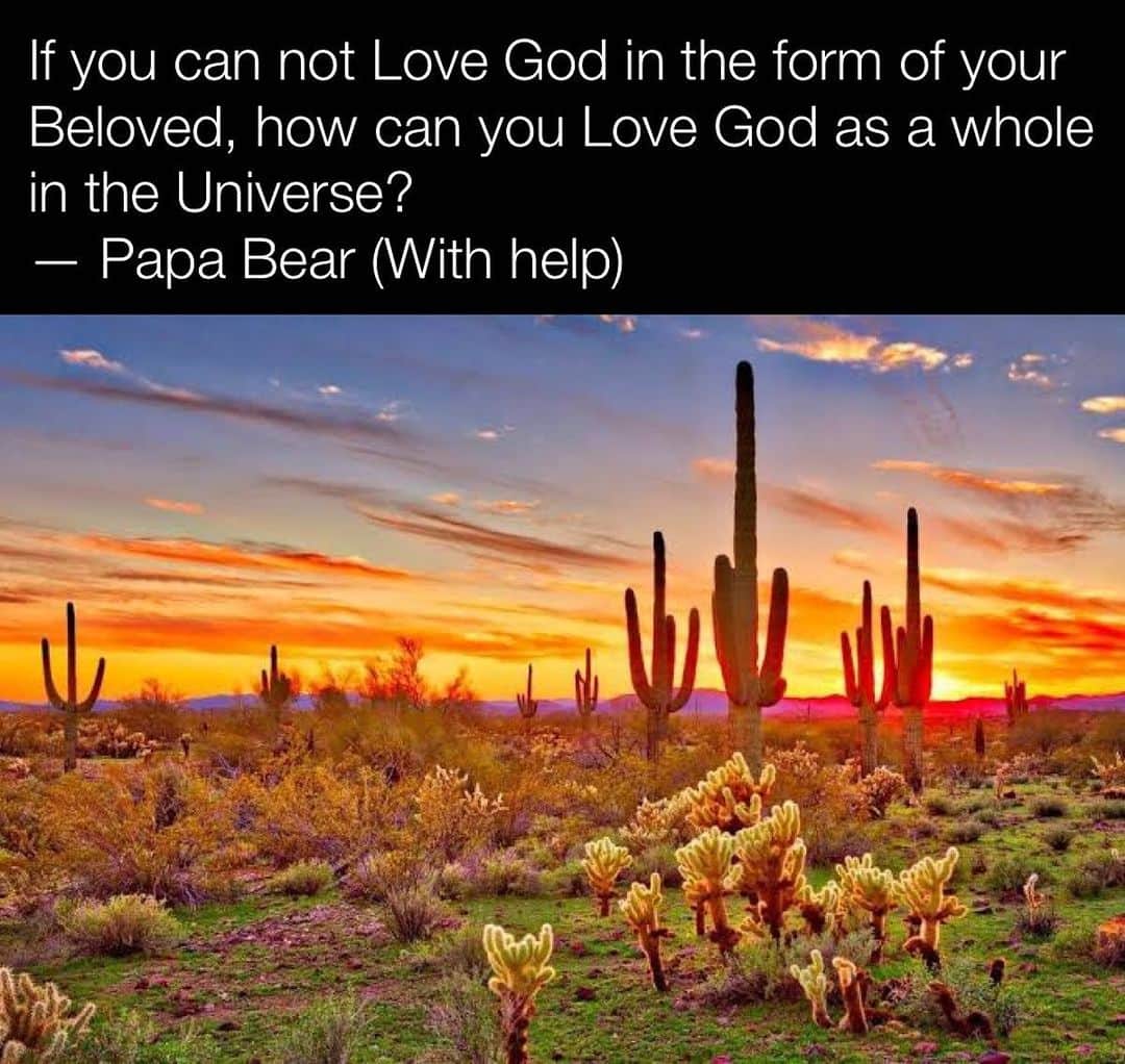 のインスタグラム：「If you can not Love God in the form of your Beloved, then how can you Love God as a whole in the Universe?  #503 #PapaBearChronicles」