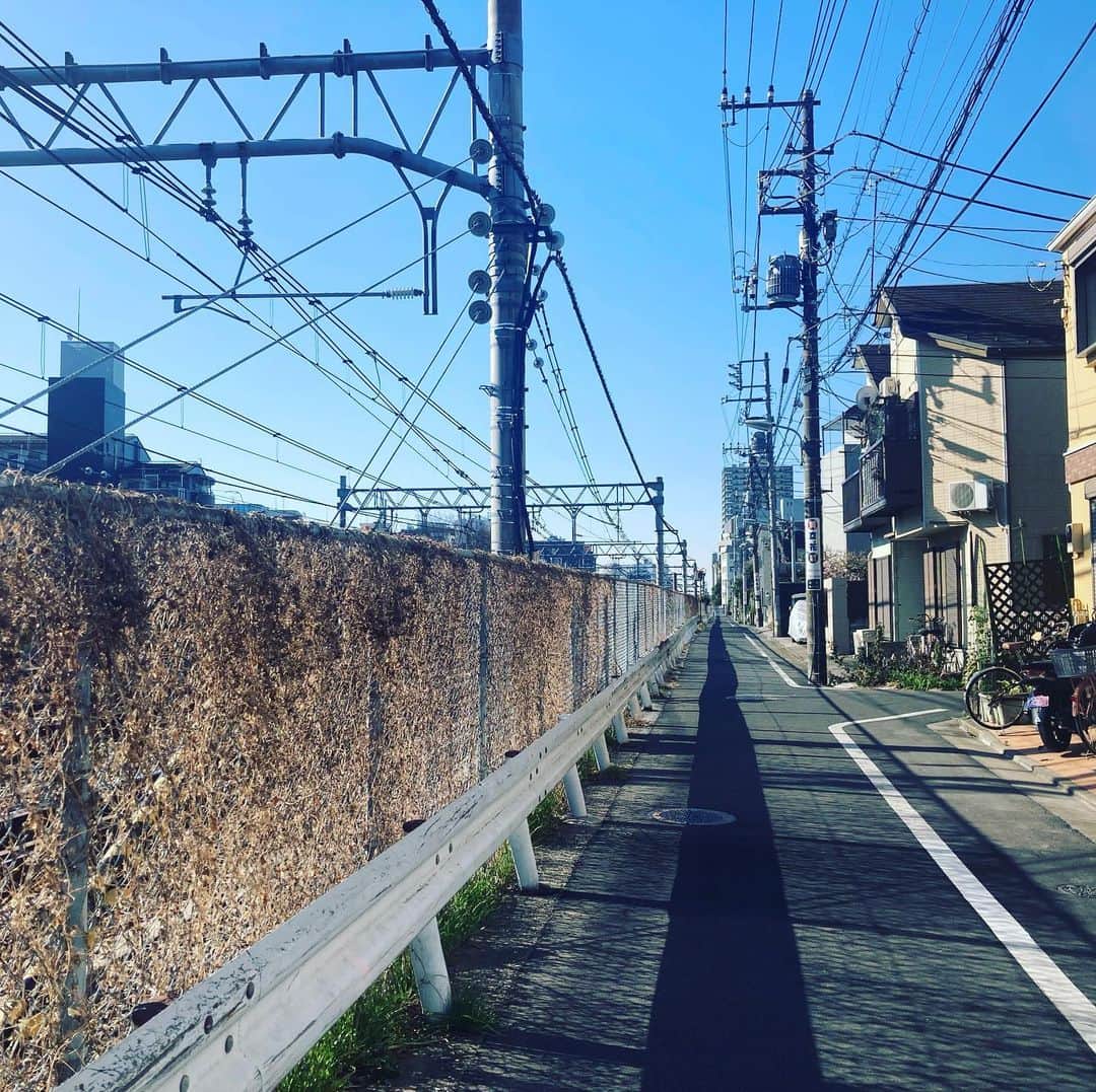 のインスタグラム：「本日の朝ラン。#running  #朝ラン #城南エリア」