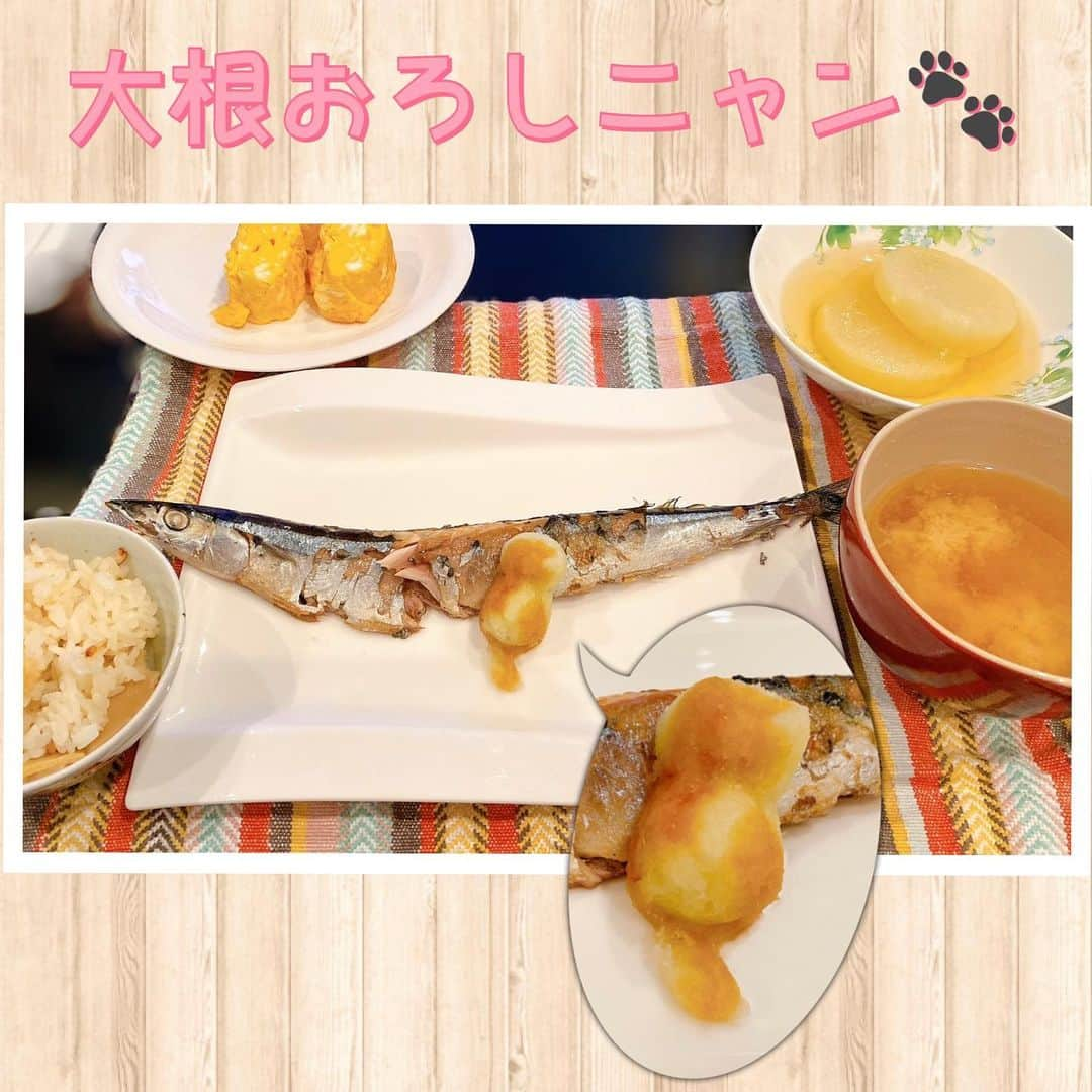 長久梨那のインスタグラム：「． 🐟🐈💕」