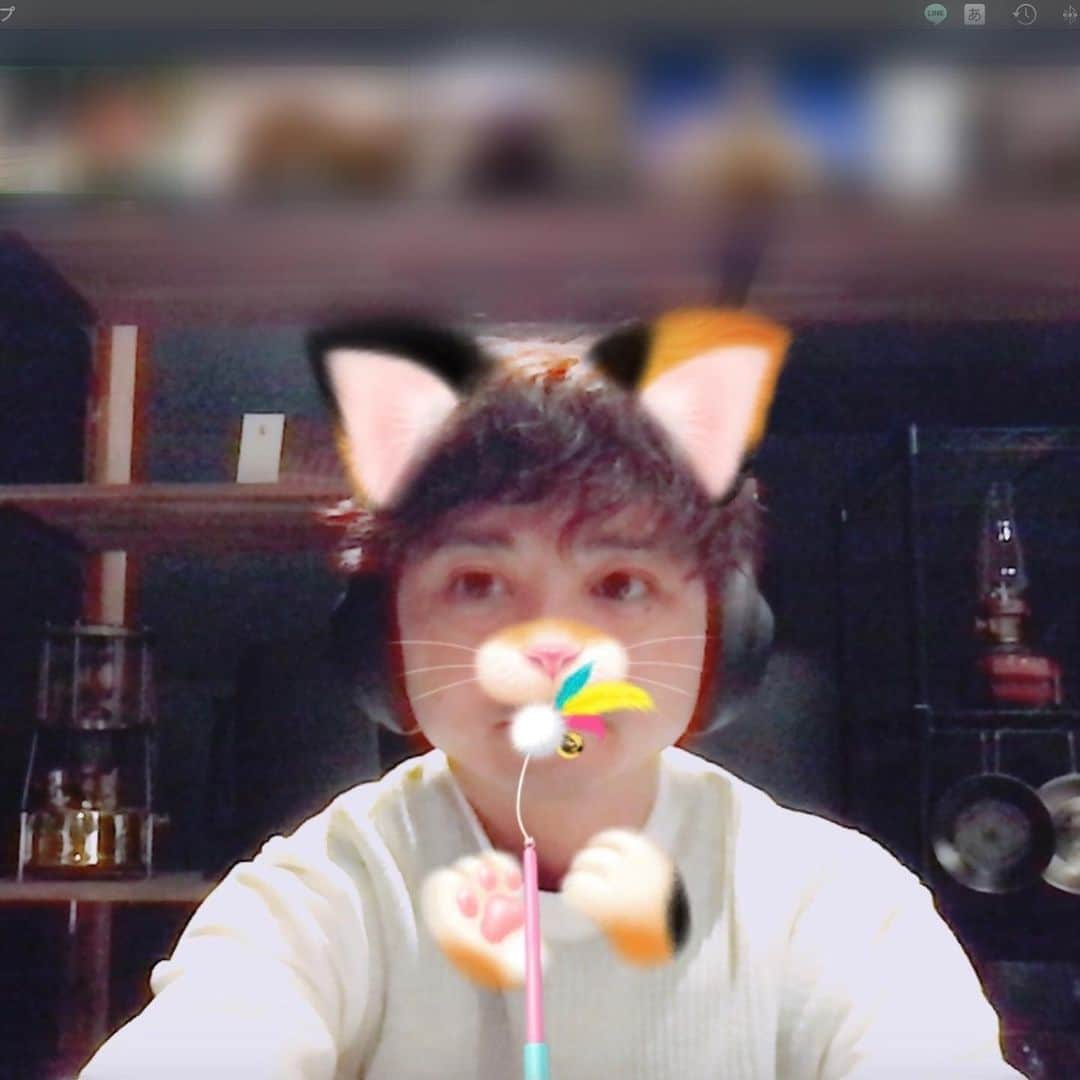 GEN3 Owlのインスタグラム：「#フクロウオーナーの会 #owlsownersclub 第一回オンラインミーティングを実施し、同時視聴最大40名を超えるフクロウオーナーさんに来ていただきました。次回開催に向けて課題も見えてきたので、少しずつアップデートしていきたいと思います。途中参加も全然OKなので、興味のある方はDMください😄  We had an online meeting with owl owners.  There were 40 participants.  #owl #owlgaru #フクロウ」