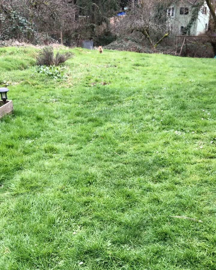 のインスタグラム：「Yard sprints!」