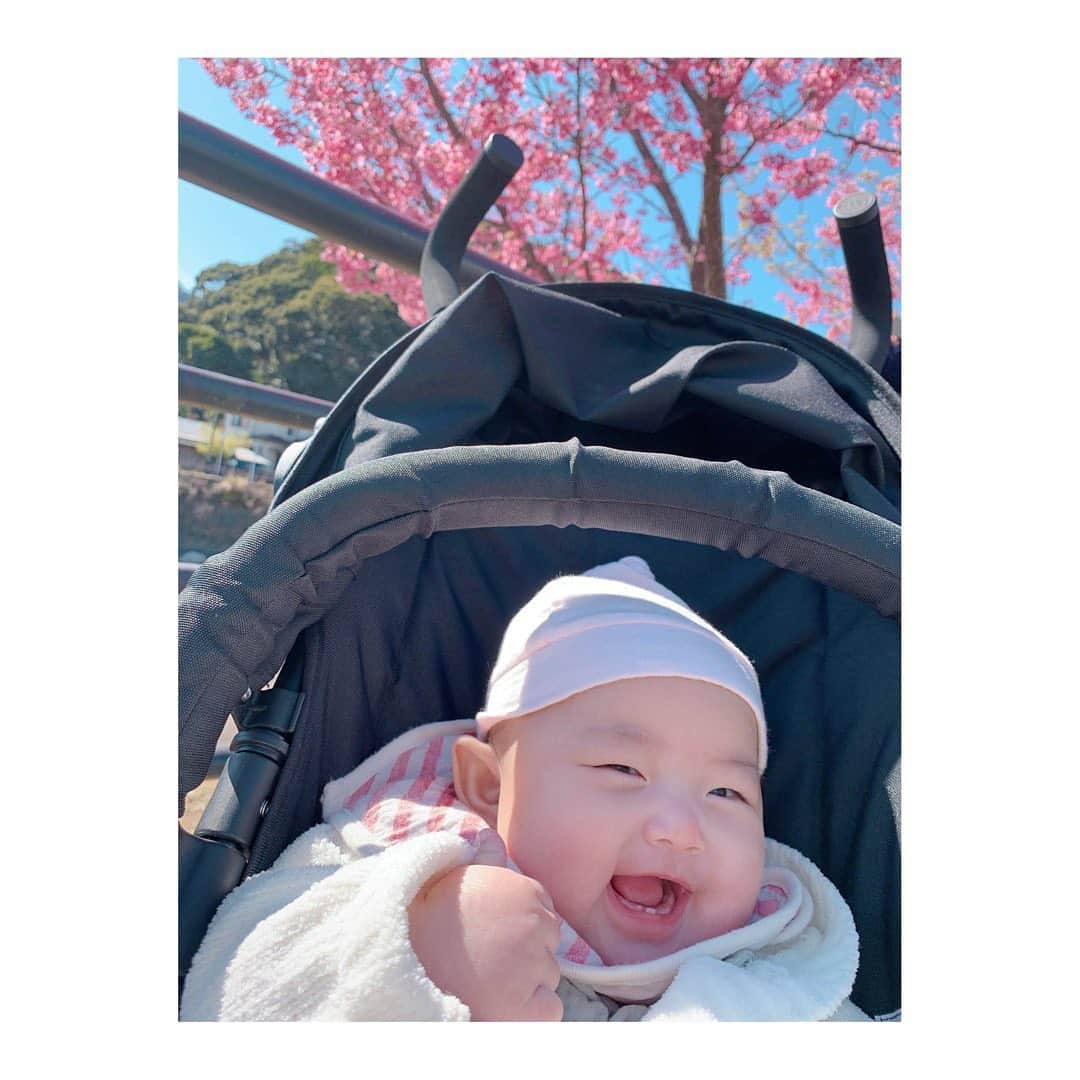 高松雪乃さんのインスタグラム写真 - (高松雪乃Instagram)「今日はポカポカしていたので、河津桜と菜の花を見に来ました🌸」2月28日 13時22分 - yukinotakamatsu