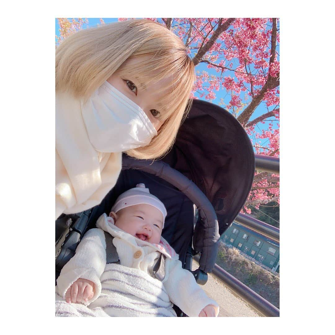 高松雪乃のインスタグラム：「今日はポカポカしていたので、河津桜と菜の花を見に来ました🌸」