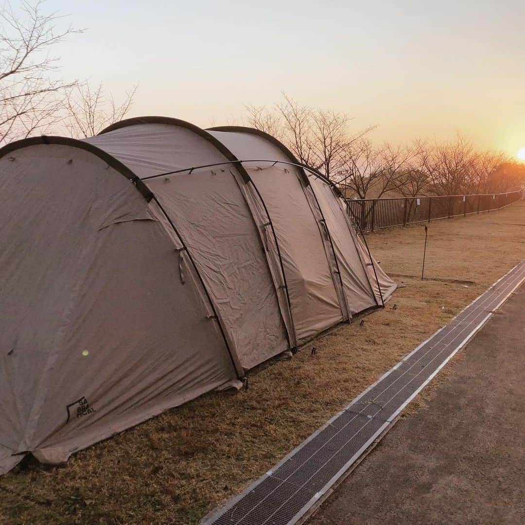 河田玲緒奈のインスタグラム：「𓇼𓆉𓇼𓆉𓇼  . . 春キャンいきたいな🏕🪵🦔 . . 我が家のアルニカ🤎 . . . #キャンプ　#キャンプギア #アルニカ　 #サバティカルアルニカ #サバティカル　 #aandf #ファミリーキャンプ」