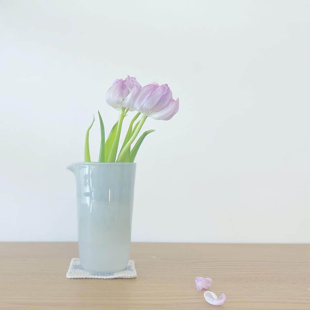 masa_sunのインスタグラム：「🌷🌷  #tulips」