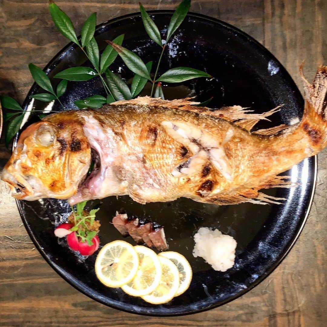 池内万作さんのインスタグラム写真 - (池内万作Instagram)「昨日の夜は福寿司さんに。 握り最高。 甘鯛の塩焼きは凄まじいお得感！ あー美味しかった〜。 ありがたやありがたや。 #イケウチ家のグルメ旅」2月28日 13時53分 - mandeshita