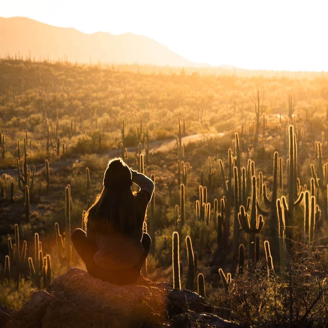 Visit The USAのインスタグラム：「Lost inside a Saguaro sanctuary! Arizona's Saguaro National Park is home to the nation's largest cacti - a symbol of the American West. 🌵 The park is located just outside of Tuscon, Arizona and has a stunning desert landscape that can be enjoyed year-round. #VisitTheUSA 📸 : @rmabbottt and @mrnickabbott」