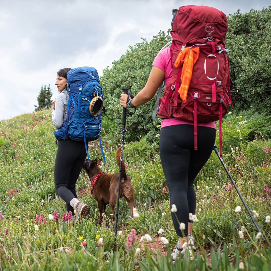 オスプレーのインスタグラム：「⛺ GIVEAWAY REMINDER! ⛺ Our Summits and Sunsets Backpacking Giveaway ends today!  Don’t miss the chance to enter to win an awesome gear package from @ospreypacks, @lekiusa, @vasquefootwear, @jetboil, @eurekacamping, @sawyerproducts and @ustgear! Enter via the link in our bio and get ready to adventure in comfort this summer!  Giveaway closes tonight, Sunday, 3/7/21 at 11:59 PM MT and you must be over 18 years old, and located in the United States, to receive the prize. One random winner will be selected and notified. This giveaway is not sponsored, endorsed, or administered by Instagram. #ospreypacks #giveaway」