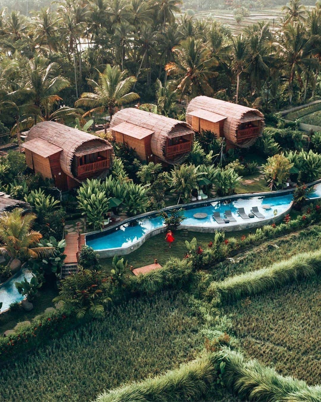 Discover Earthさんのインスタグラム写真 - (Discover EarthInstagram)「A unique getaway in Ubud, Bali surrounded by amazing rice paddies. Have you ever been to Bali?  📍@adiwanabeehouse 🇮🇩 #discoverbali with @lessday  • • • • • #UniqueLodge #UniqueLodges #DiscoverUniqueLodges  #bali #ubud #kalimantan #explorebali #sulawesi #thebalibible #papua #ubud #denpasar #aceh #indovidgram #balidaily #kuta #balilife #thebaliguru #indozone #padang #thebaliguideline #balicili #jawa #exploreindonesia #uluwatu #makasar」3月1日 1時17分 - discoverearth