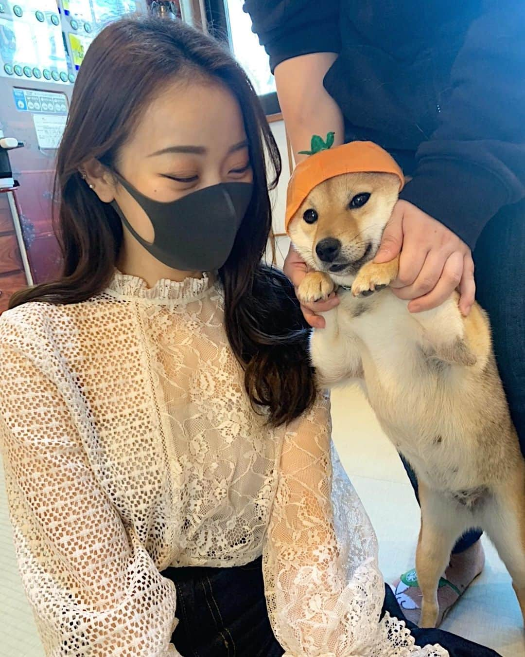 青科まきさんのインスタグラム写真 - (青科まきInstagram)「🐕🐕🐕  #豆柴　さん　犬界ナンバーワン(圧勝)」3月1日 1時16分 - maki_aoshina