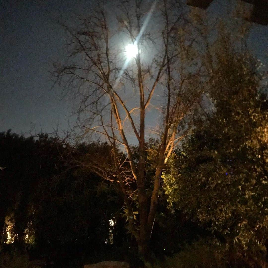 シャロン・ローレンスさんのインスタグラム写真 - (シャロン・ローレンスInstagram)「“#moonlight at the oasis” #fullmoon in #virgo」3月1日 1時15分 - sharonelawrence