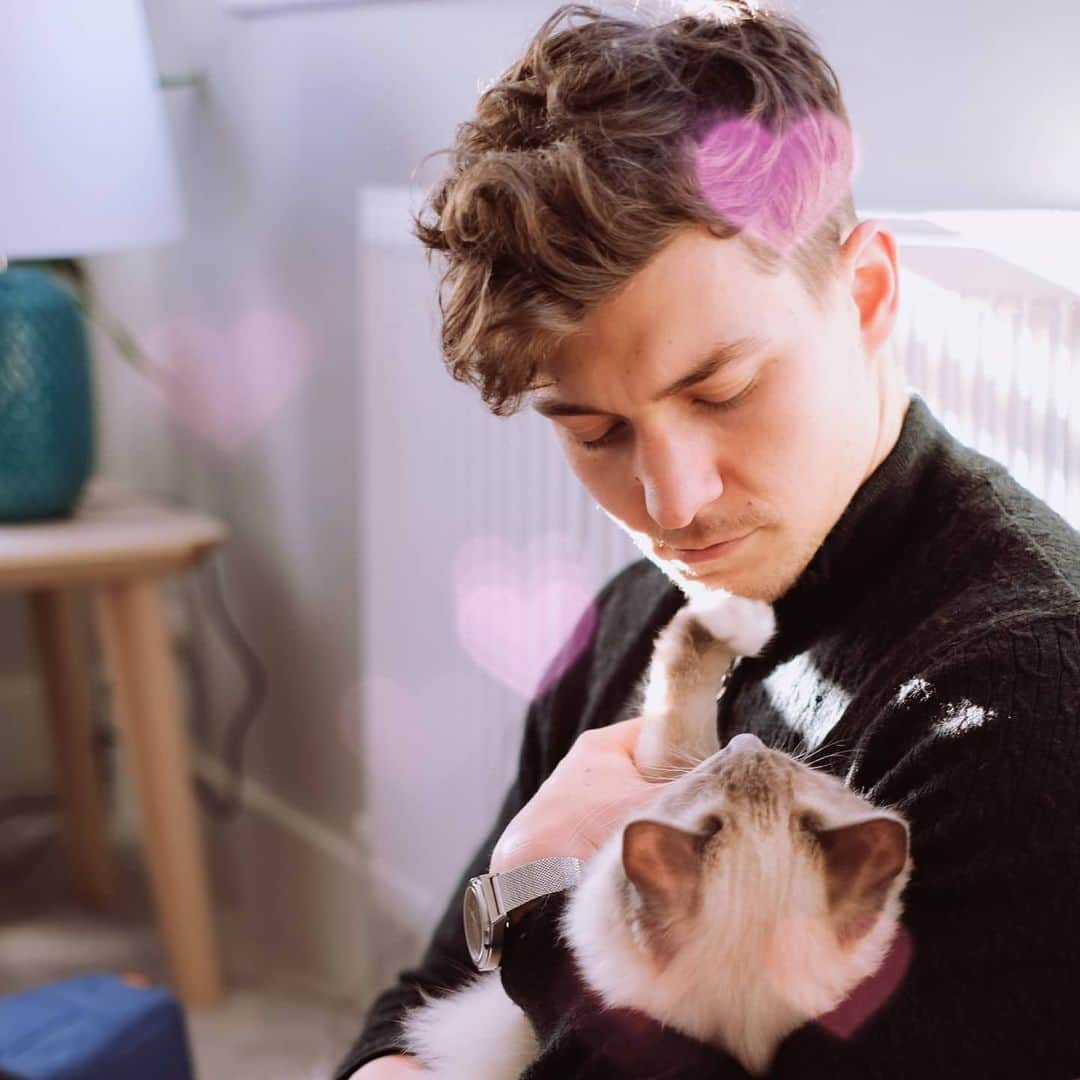 のインスタグラム：「Cat or Enemy？ 🤷 Swipe to see more #filter recommend on #beautyplusapp  #boyfriendquotes #filters #love #cat #ootd #daily」