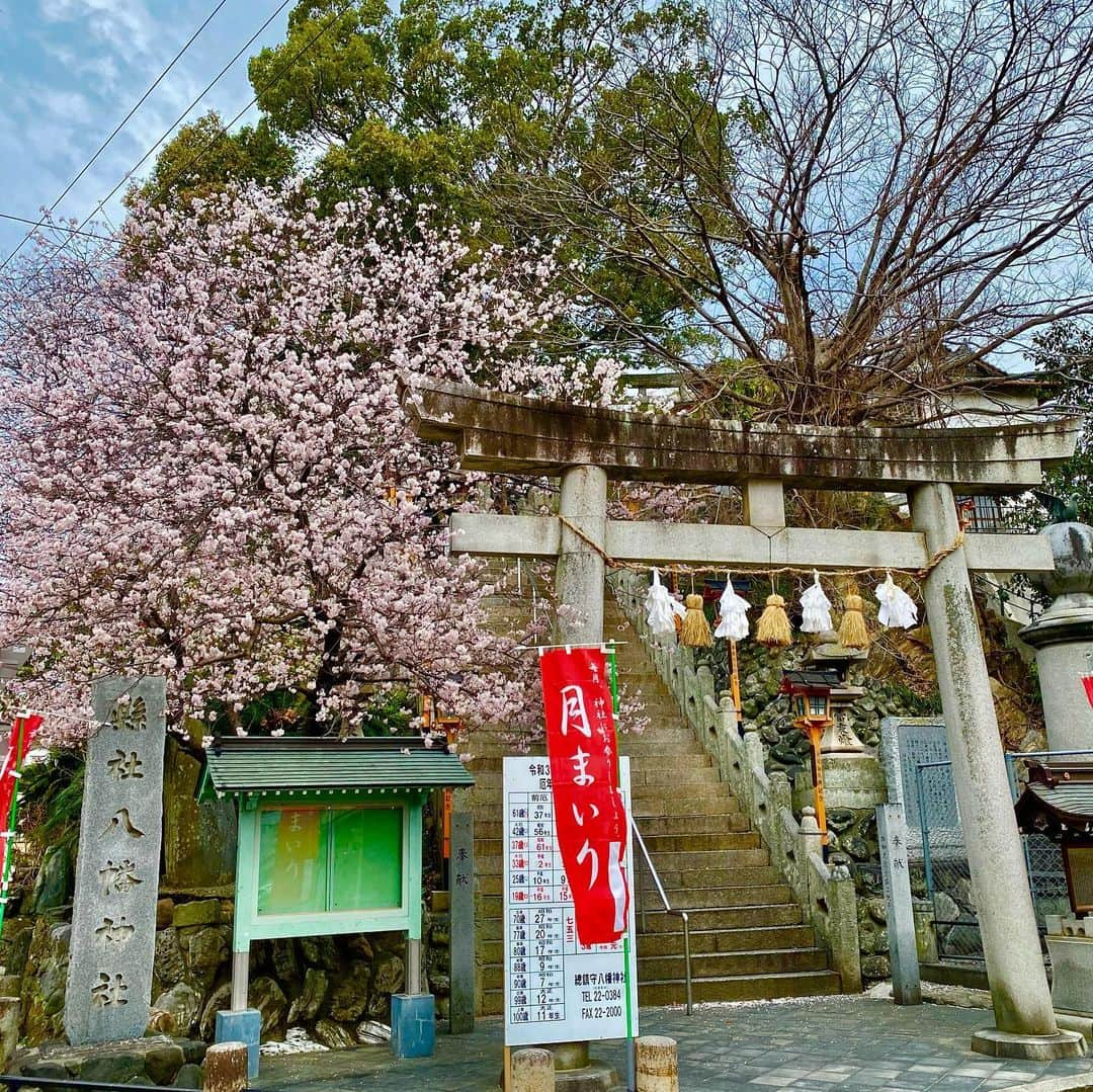 長谷川初範のインスタグラム：「愛媛県八幡浜氏 商店街の神社にお参り。」