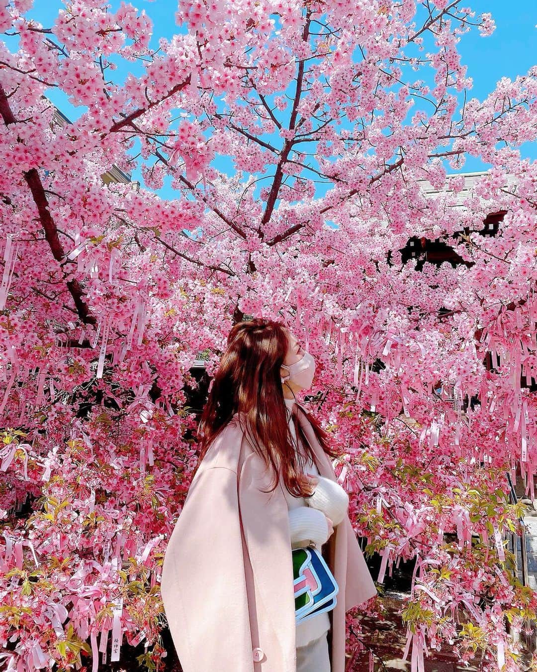 美香さんのインスタグラム写真 - (美香Instagram)「🌸🎀🌸🎀🌸🎀🌸🎀🌸 #桜神社 #河津桜　 #love💗💗💗」2月28日 16時54分 - mikaofficial99
