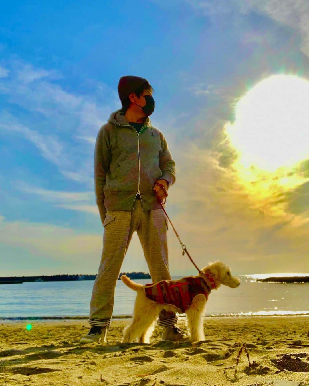 設楽洋さんのインスタグラム写真 - (設楽洋Instagram)「SUNSET BEACH ☀️  #湘南 #葉山 #秋谷海岸 #sunset #kelly #愛犬と散歩」2月28日 17時22分 - taracyan3