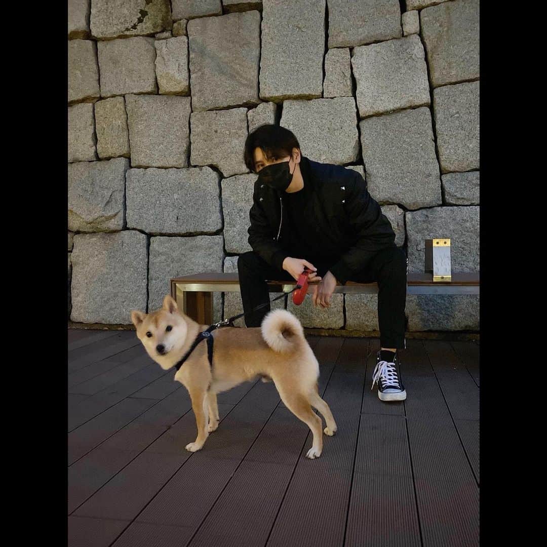 のインスタグラム：「焦げパンさんとお散歩。全力ダッシュしてきたよ🐕 もう1歳早いね、叔父さんのような気持ちです。  @toraandsuzu @maaayaofficial」