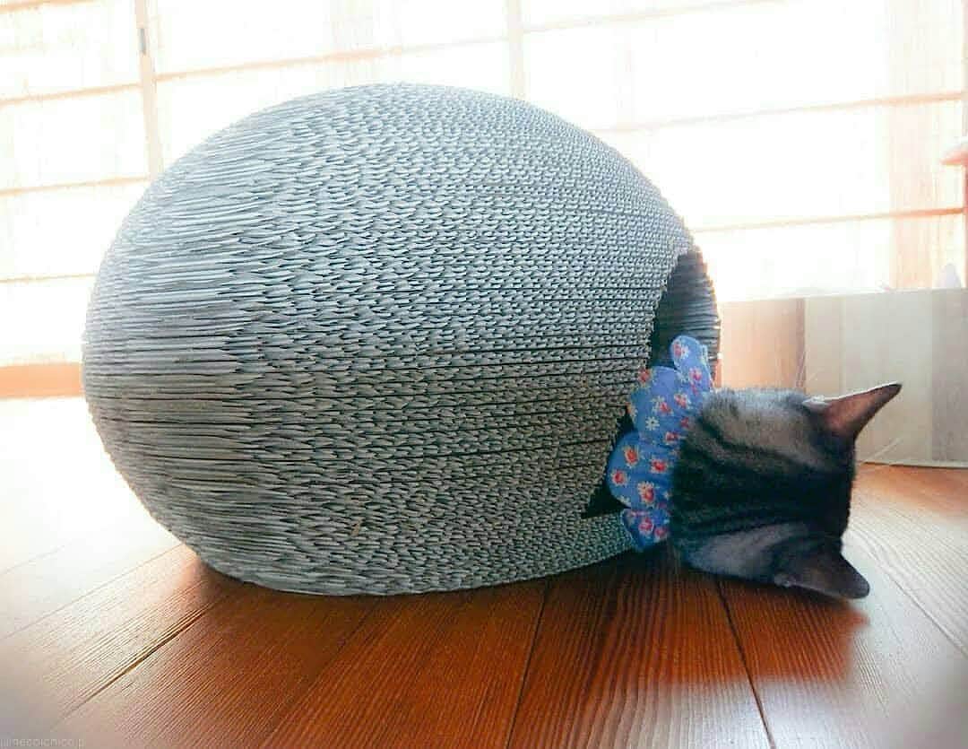 猫壱（ねこいち•ネコイチ）のインスタグラム：「▫︎ 【#猫のくらデー　】  愛しの後ろ頭❤️  #前から見ても可愛いけど #後ろ姿も愛しい❤️   :::::::::#猫壱 ::::::: 猫壱は猫と人との暮らしの向上を目指して猫グッズの開発に取り組んでいます♪ ▫ 猫のくらは販売後すぐに完売が続いていましたが、ようやく供給も安定したので、この土日は 過去に紹介した#猫のくら の可愛いお写真を連続でご紹介中❤︎ 気になる方は @necoichicojp をチェックしてみてくださいね！ ▫ ▫ 【Special thank-you @megumi6575 💕💕💕💕】」
