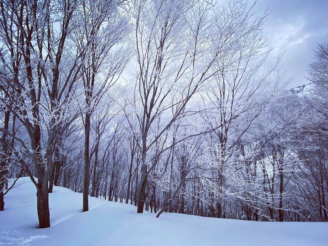 奥家沙枝子さんのインスタグラム写真 - (奥家沙枝子Instagram)「土日祝限定オープンのミルキーウェイコースへ🌞 ふかふかのパウダー残っててサイコー❤️❤️❤️  #japan #snow #snowboard  #snowboarding #snowsurf #winter  #sport #fit #mountain #outdoor #nature #beautiful #goodday #winterwonderland #trip #ski #travel #japow #powder #powday #GoPro #絶景 #スノボ #スノーボード #雪 #パウダー #山 #新潟」2月28日 17時58分 - saekookuya