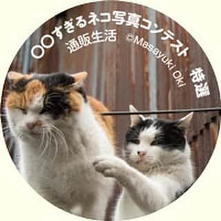 Masayukiさんのインスタグラム写真 - (MasayukiInstagram)「【本日締め切り！】  いつもご応募くださって 誠にありがとうございます❗️  通販生活® 「〇〇すぎる」ネコ写真コンテスト2月のコンテストの締切日は 本日 2月28日です。  入選すると 必死すぎるネコステッカーをプレゼント、かわいい！  通販生活　沖昌之で ネットで検索していただければ投稿ページに行けると思います。 お手数をおかけしますが、どしどしご応募お待ちしております！ よろしくお願いいたします。  #通販生活」2月28日 18時17分 - okirakuoki