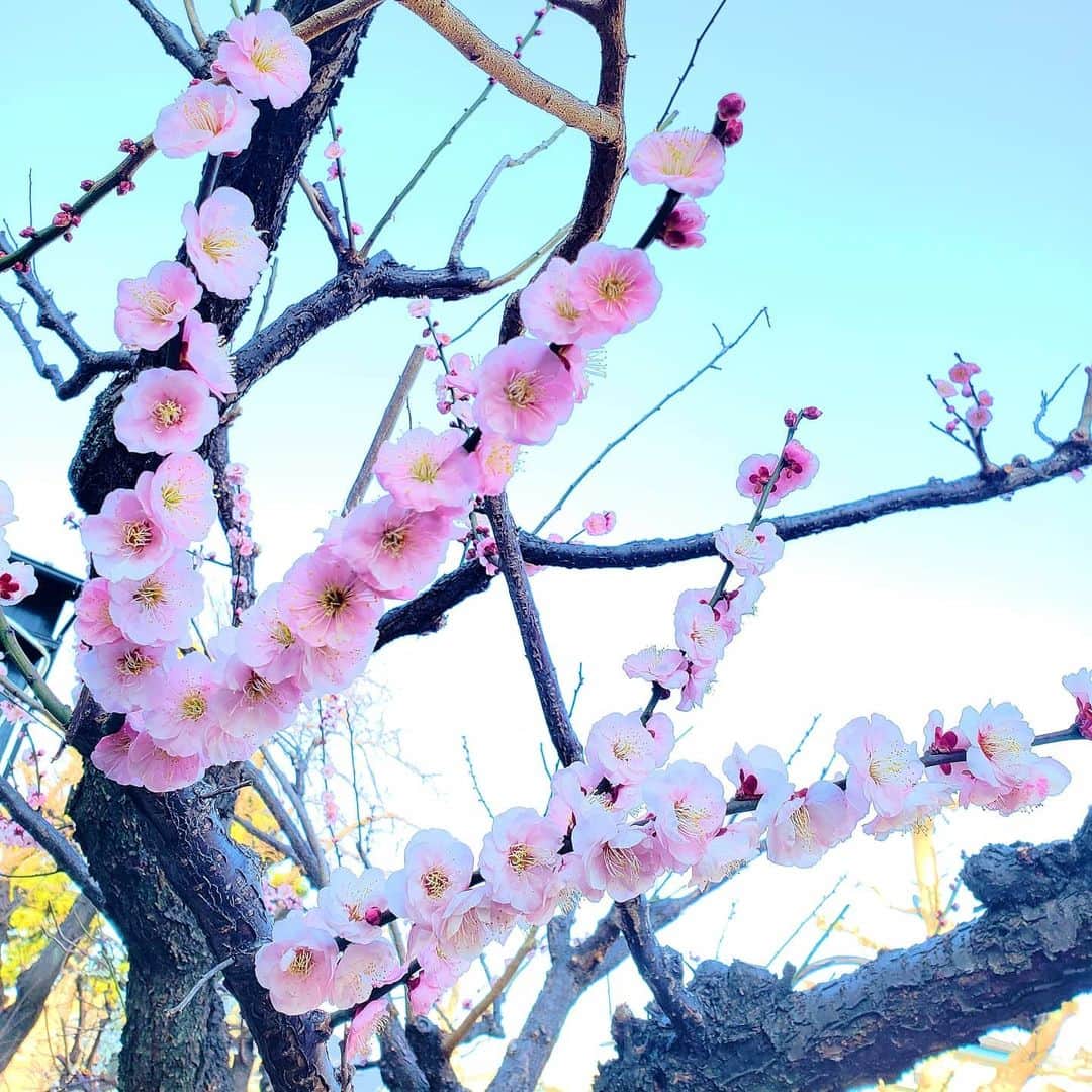 永井利光さんのインスタグラム (永井利光toshi_nagai)