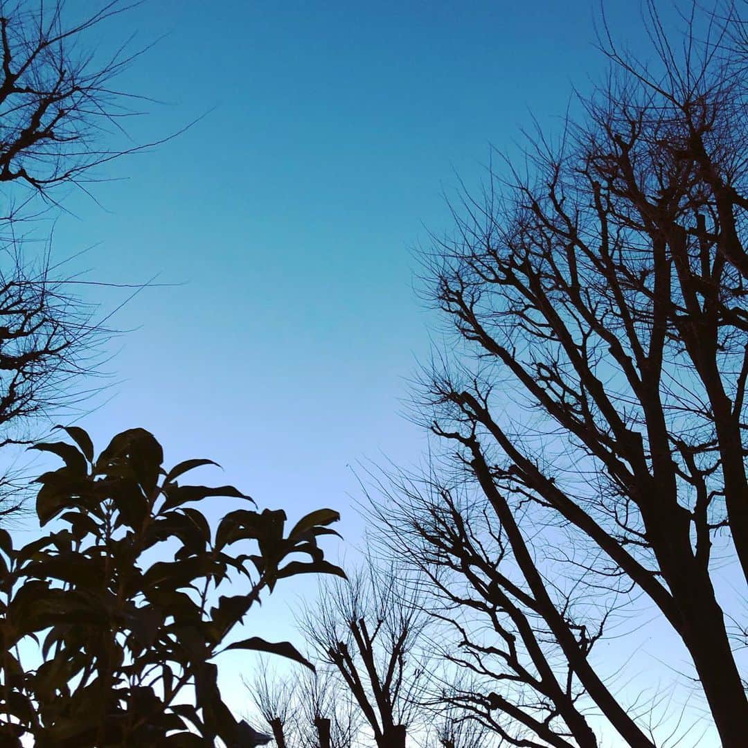 千秋さんのインスタグラム写真 - (千秋Instagram)「まだまだ寒いね。 空気が澄んで絵本みたいな景色🍂」2月28日 18時53分 - chiaki77777