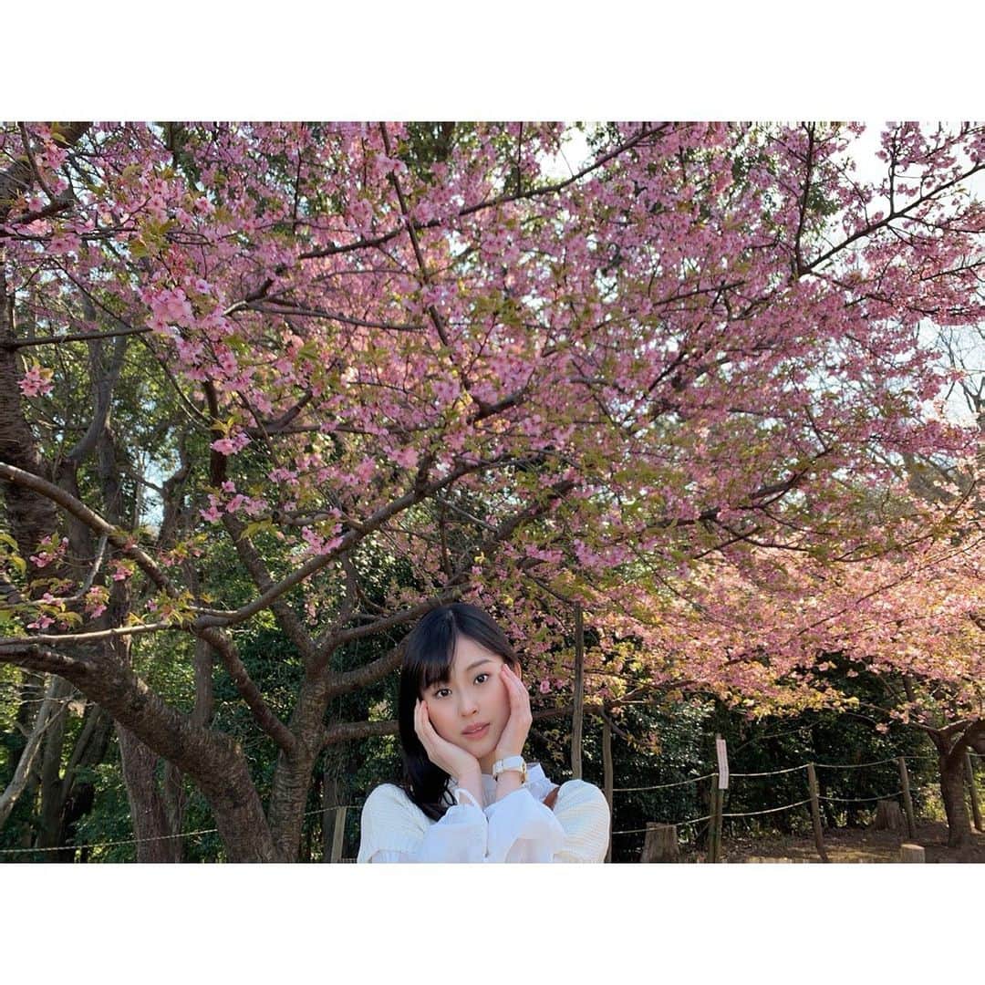井本彩花さんのインスタグラム写真 - (井本彩花Instagram)「.  今日はとある撮影を。︎ 解禁されましたらまたご報告させていただきます！ ほぼ満開の桜と一緒に。😊❤️ 春を感じますね🌸  #もうすぐ #春だよ #🌸 #井本彩花」2月28日 18時57分 - imoto_ayaka_official