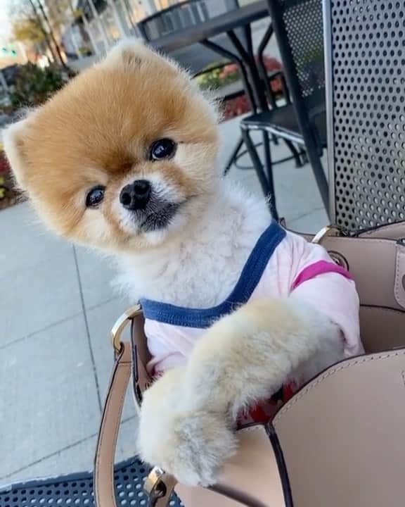 jiffのインスタグラム：「😋」