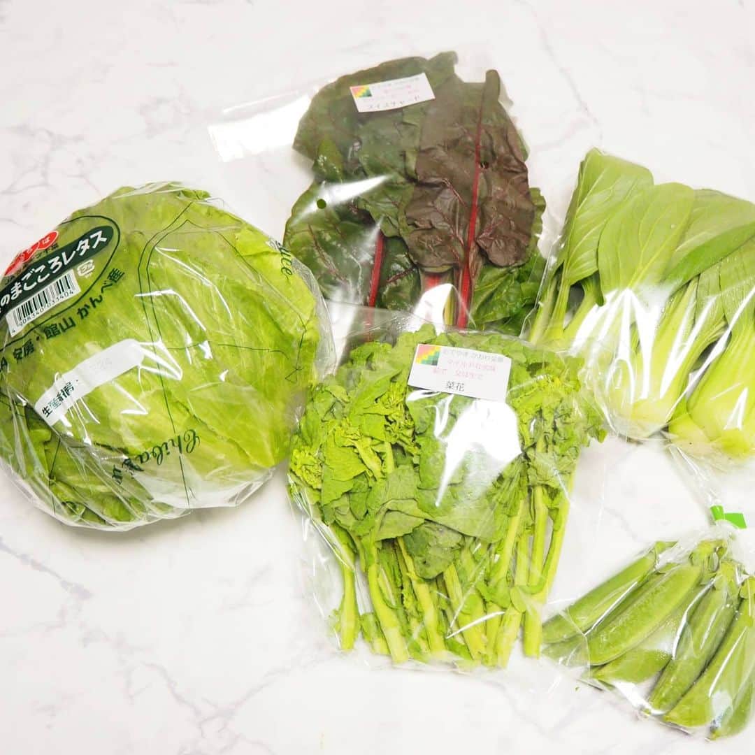 Kuboi Ayumiさんのインスタグラム写真 - (Kuboi AyumiInstagram)「コロナで常に運動不足で、なんとなく調子が悪かったり。 なので、意識して野菜をたっぷり食べるようにしています。  おいしくて、新鮮な野菜があると、シンプルな料理でも満足感が高いんですよね。 みなさんのおすすめの野菜、教えて欲しいです！  先日お取り寄せしたのは、こちら。  ■おまかせ旬野菜ＢＯＸスモール  旬野菜と地元卵のお手頃セットです。 野菜ソムリエプロ安西理栄さんがセレクトした南房総館山の旬野菜と、館山の地元卵の詰め合わせになっています。 リエビン×農家×法政大学の学生の共同で地域の活性化のため、企画した商品なんだそう。  私の場合は、千葉のまごころレタスや、スイスチャード、菜の花、チンゲン菜、さやいんげん、赤たまごが入っていました。 一人暮らしの方にはぴったりのセットです。  リエビンではすべてこだわりの朝採れ野菜を取り扱っているので、届いた時も新鮮で本当においしそう。 どんなお料理に使おうか、考えるだけでも楽しくなっちゃいます。  今なら初回限定キャンペーンサイトから商品を購入すると抽選で次回使える2000円分のポイントが当たるみたいなので リエビンの公式InstagramまたはTwitterのプロフィール欄のリンクをチェックしてみてくださいね。  @riebin.jp  ﻿#おうちごはん #おうちカフェ #おうち時間 #おうちじかん #お取り寄せ #お取り寄せグルメ #リエビン #ベジタス #お取り寄せ野菜 #野菜好きな人と繋がりたい #産地直送野菜 #館山 #南房総  #産地直送 #新鮮野菜 #野菜BOX #地域活性化 #SDGs #pr #野菜ソムリエ」2月28日 19時24分 - himekagami
