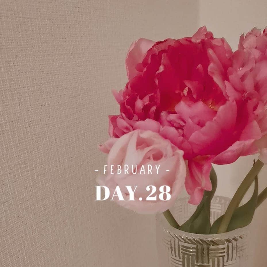 のインスタグラム：「2月最終日✨ * 今日は久々の動画撮影。 本当に動きながら台詞も覚えてカメラにむかって演じるってかなり難しい✨✨✨ * でもやってみて新たな成長があったかな😌 * 演技レッスンかなり昔にやってたの思い出した✨ * その時は本当に向いてないなーっておもってチャレンジしなかったけど、年月経ってみて変わってることってあるよね✨ * * 何事もチャレンジあるのみ！！！ (by品格のあるチーター🤭) * ってことでウクレレもふぁいてぃん❤」